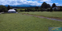 terrain à LAMARQUE PONTACQ (65380)